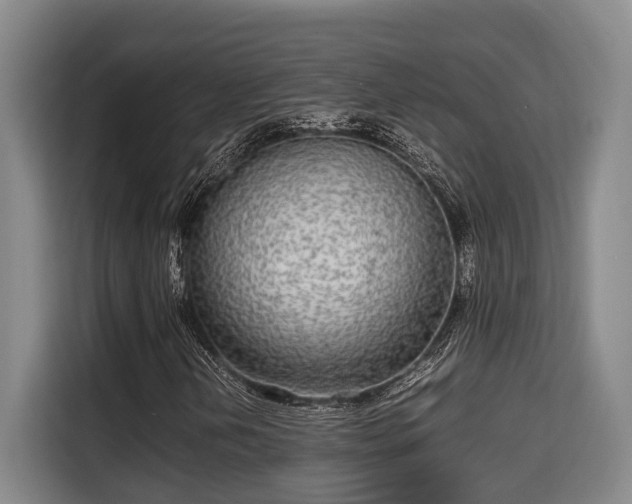 X0000115721202200911191344