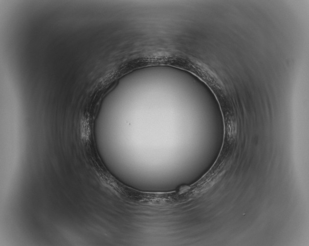 X0000115721204200911191344