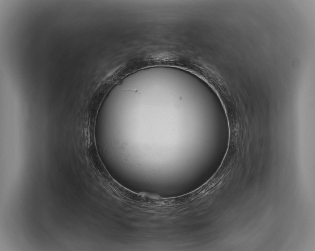 X0000115721205200911191344