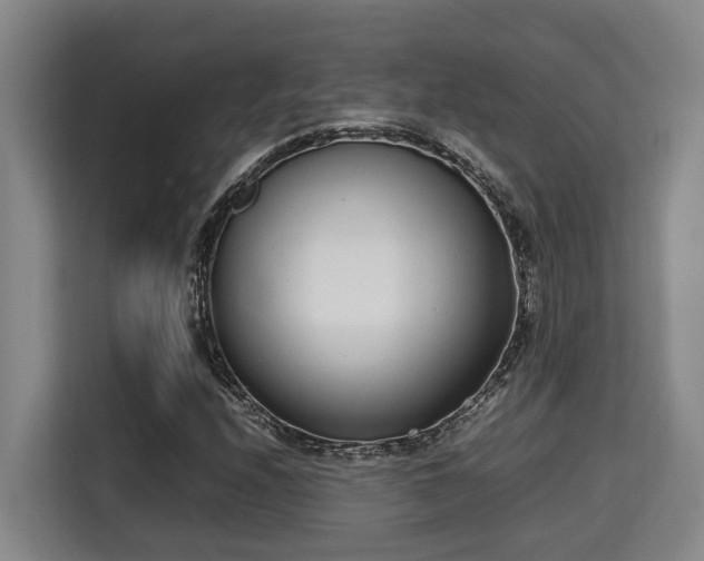 X0000115721208200911191344