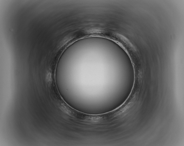 X0000115721209200911191345
