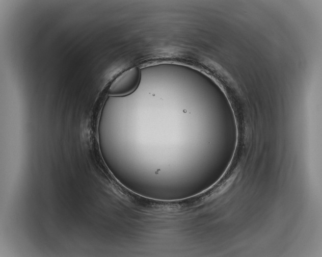 X0000115721210200911191345