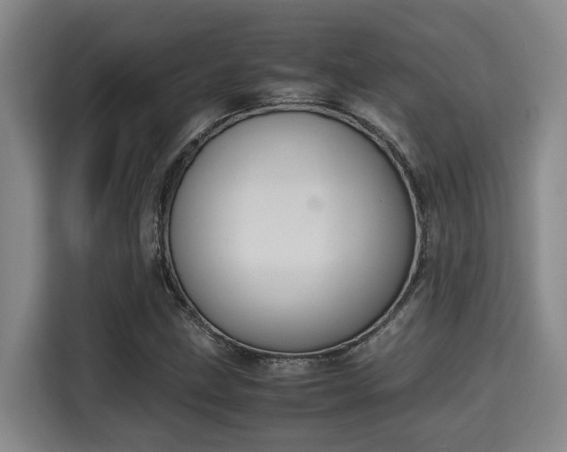 X0000115721211200911191345
