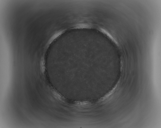 X0000115721213200911191345