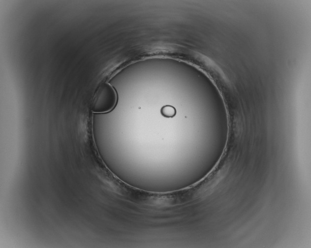 X0000115721217200911191345