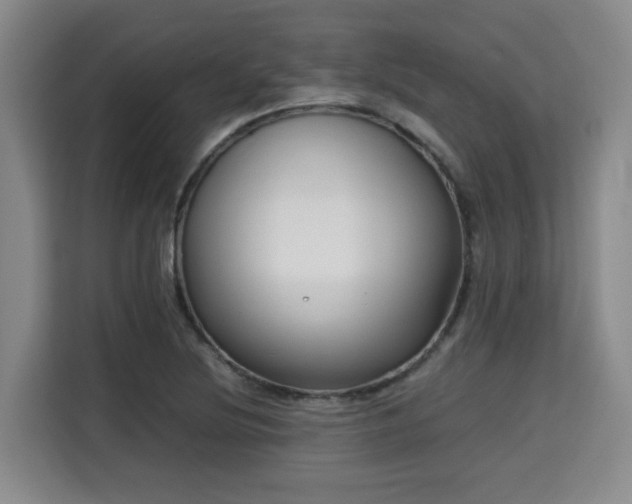 X0000115721220200911191345