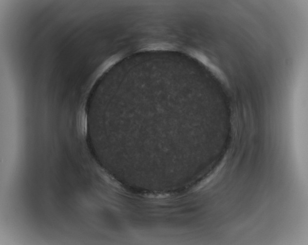 X0000115721221200911191345