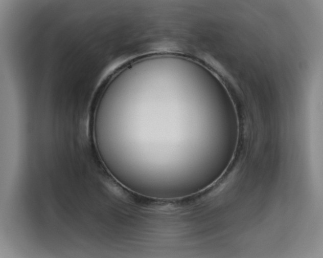 X0000115721222200911191345