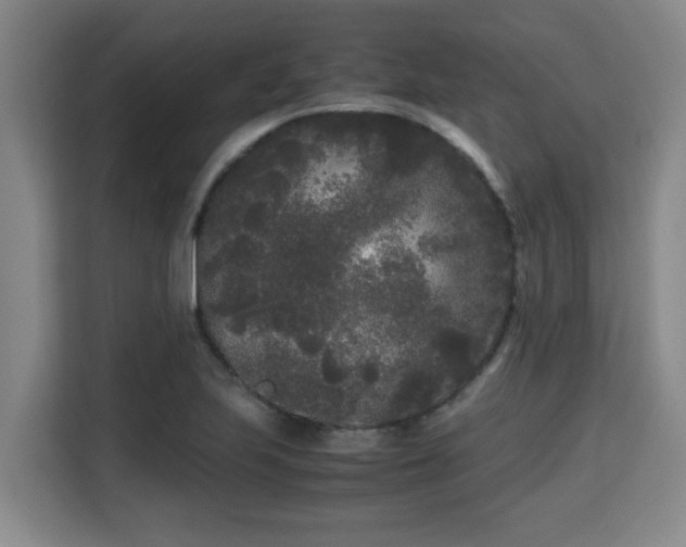 X0000115721223200911191345