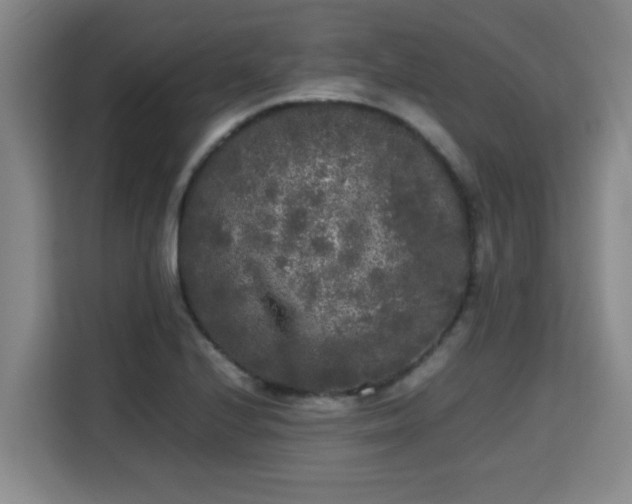 X0000115721224200911191345