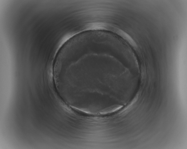 X0000115721226200911191345