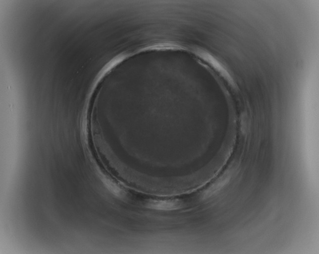X0000115721229200911191345