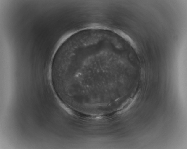 X0000115721231200911191345