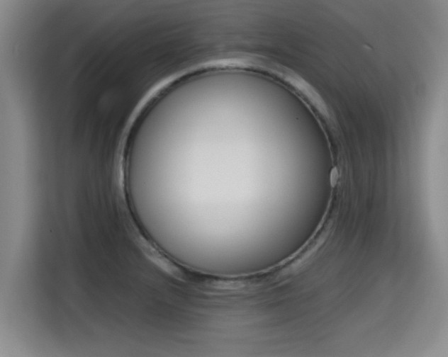 X0000115721232200911191345