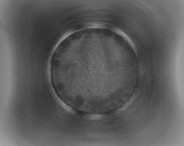 X0000115721235200911191345