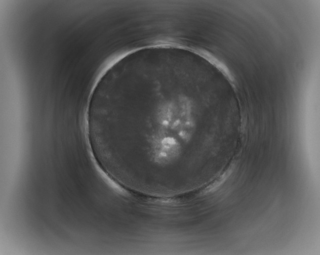 X0000115721239200911191345