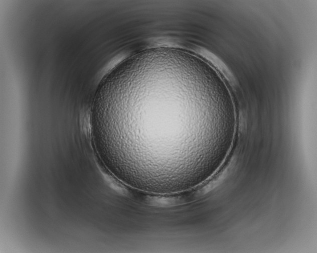 X0000115721241200911191345
