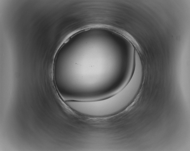 X0000115721244200911191345