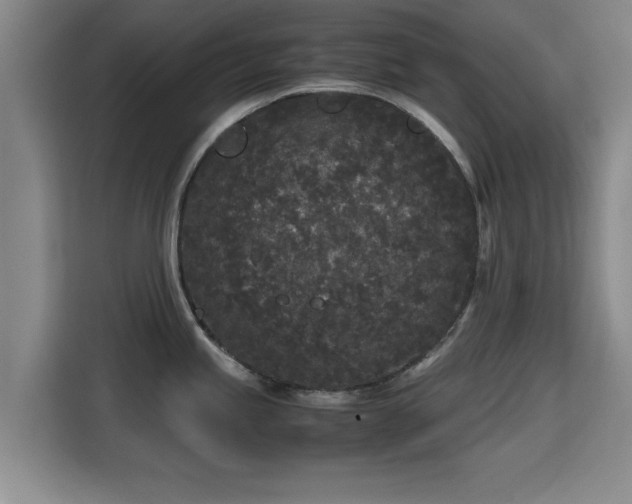 X0000115721245200911191345
