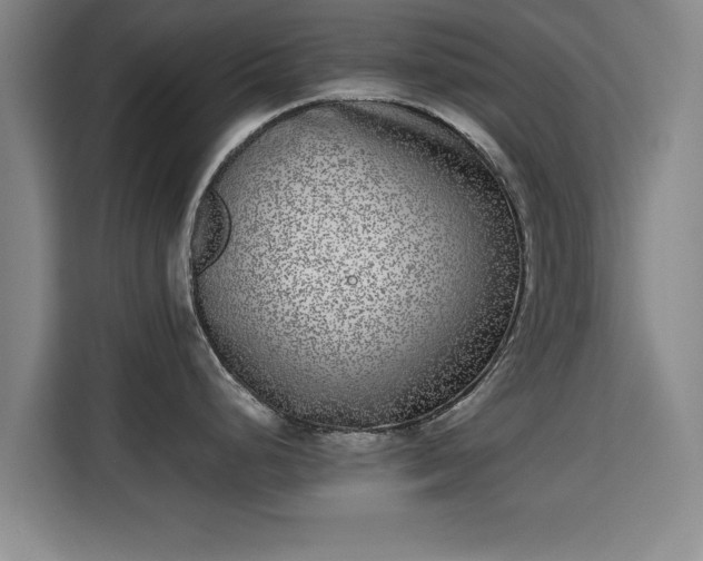 X0000115721248200911191345