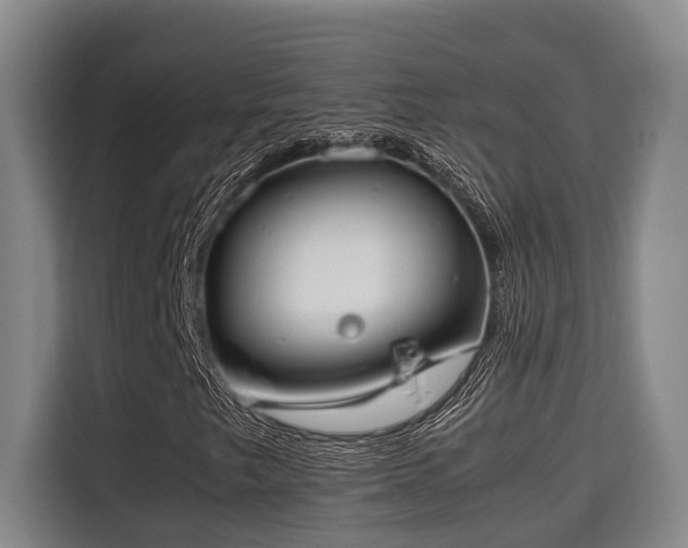 X0000115721249200911191344