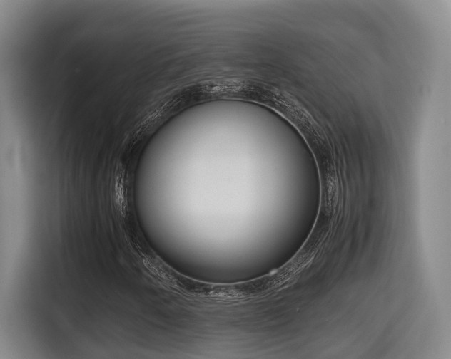 X0000115721250200911191344