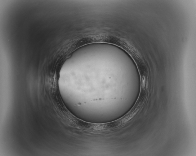 X0000115721251200911191344