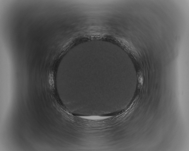 X0000115721252200911191344