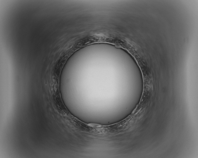 X0000115721253200911191344