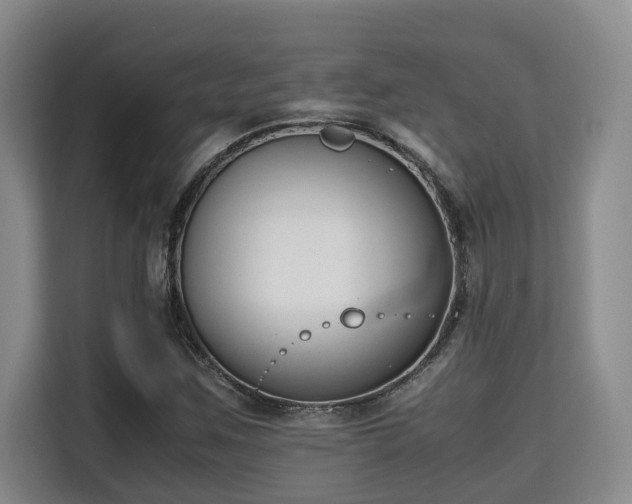X0000115721259200911191344
