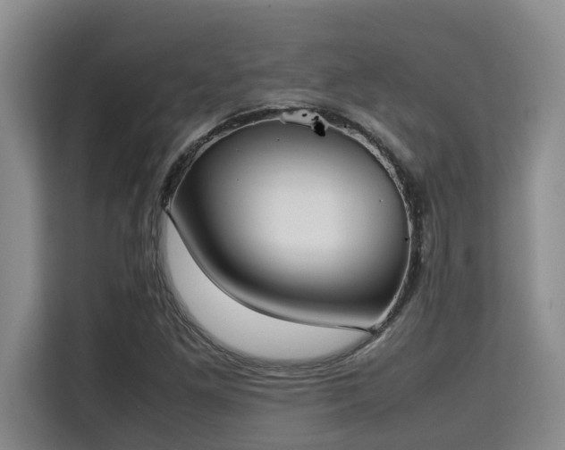 X0000115721261200911191344