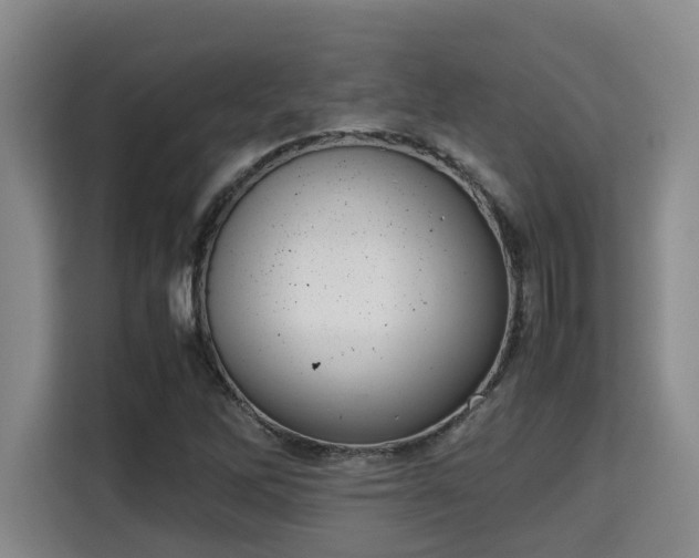 X0000115721262200911191344