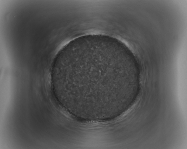 X0000115721263200911191344