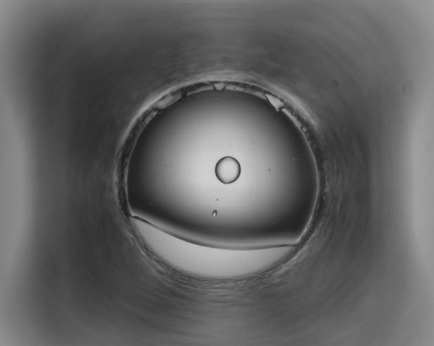 X0000115721264200911191344