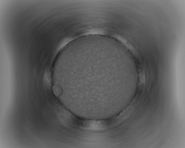 X0000115721266200911191344