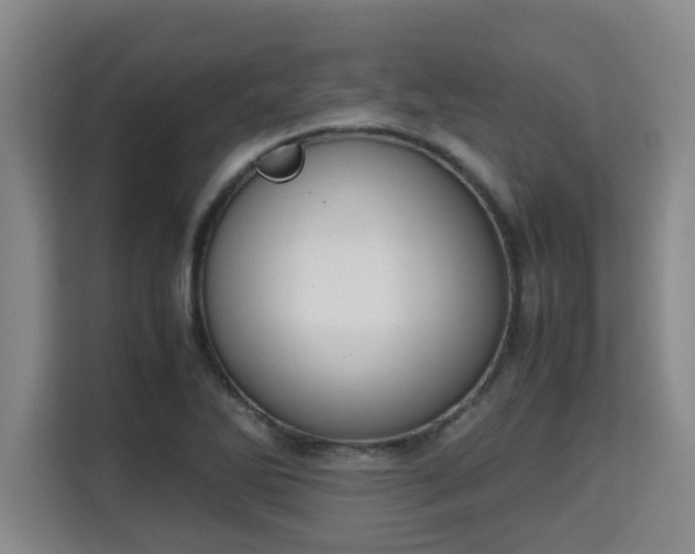 X0000115721270200911191344