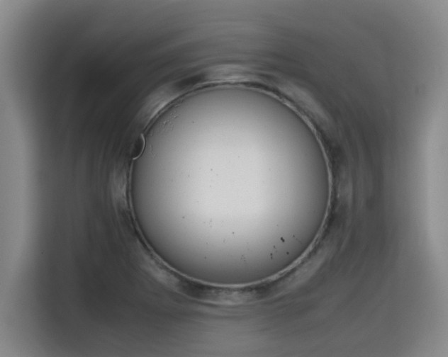 X0000115721273200911191344