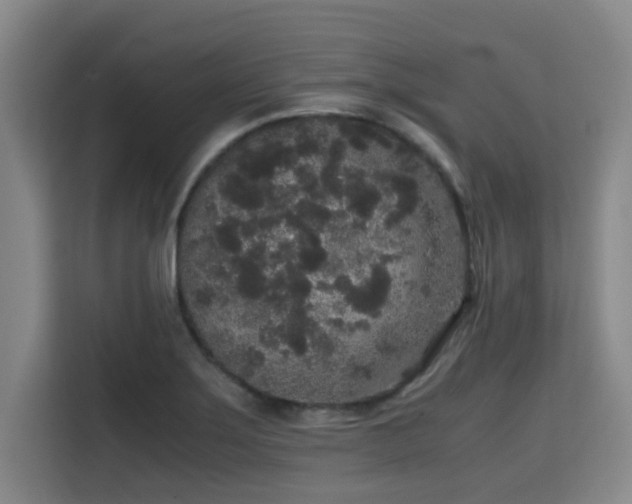 X0000115721275200911191344