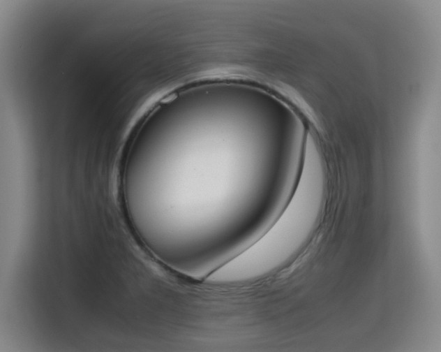 X0000115721277200911191344