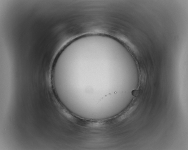 X0000115721278200911191344