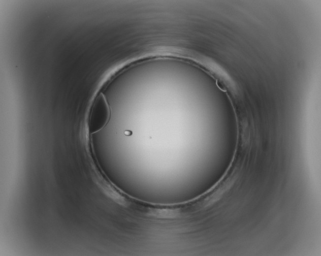 X0000115721280200911191344