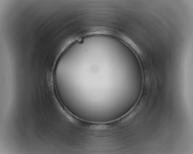 X0000115721282200911191344