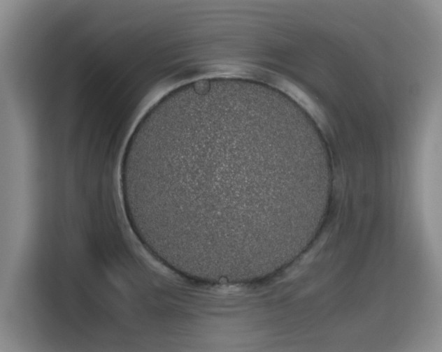 X0000115721283200911191344