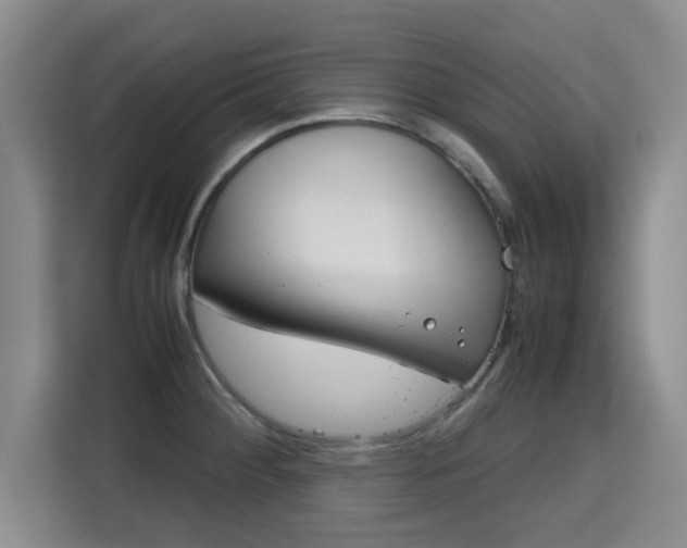 X0000115721284200911191344