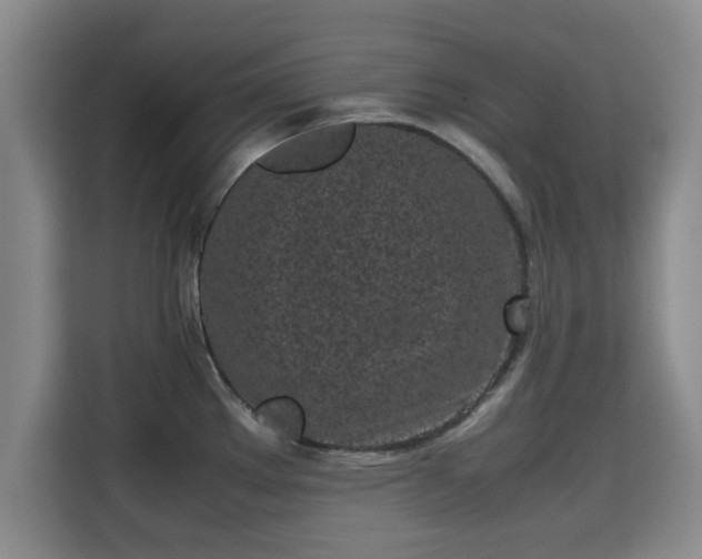 X0000115721289200911191344