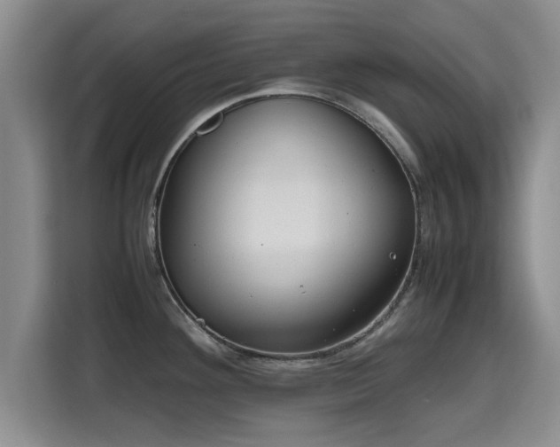 X0000115721292200911191344