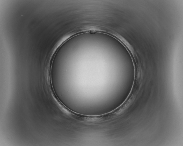 X0000115721293200911191344