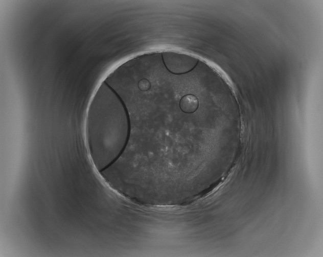 X0000115721295200911191344