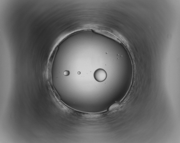 X0000115721296200911191344