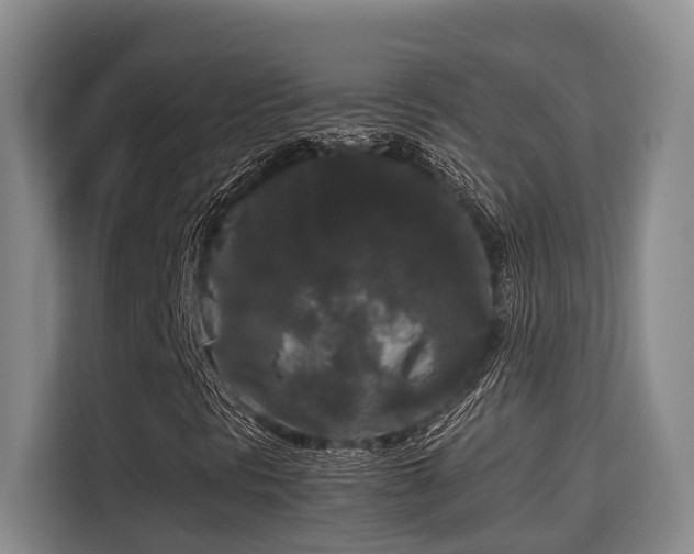 X0000115721297200911191343